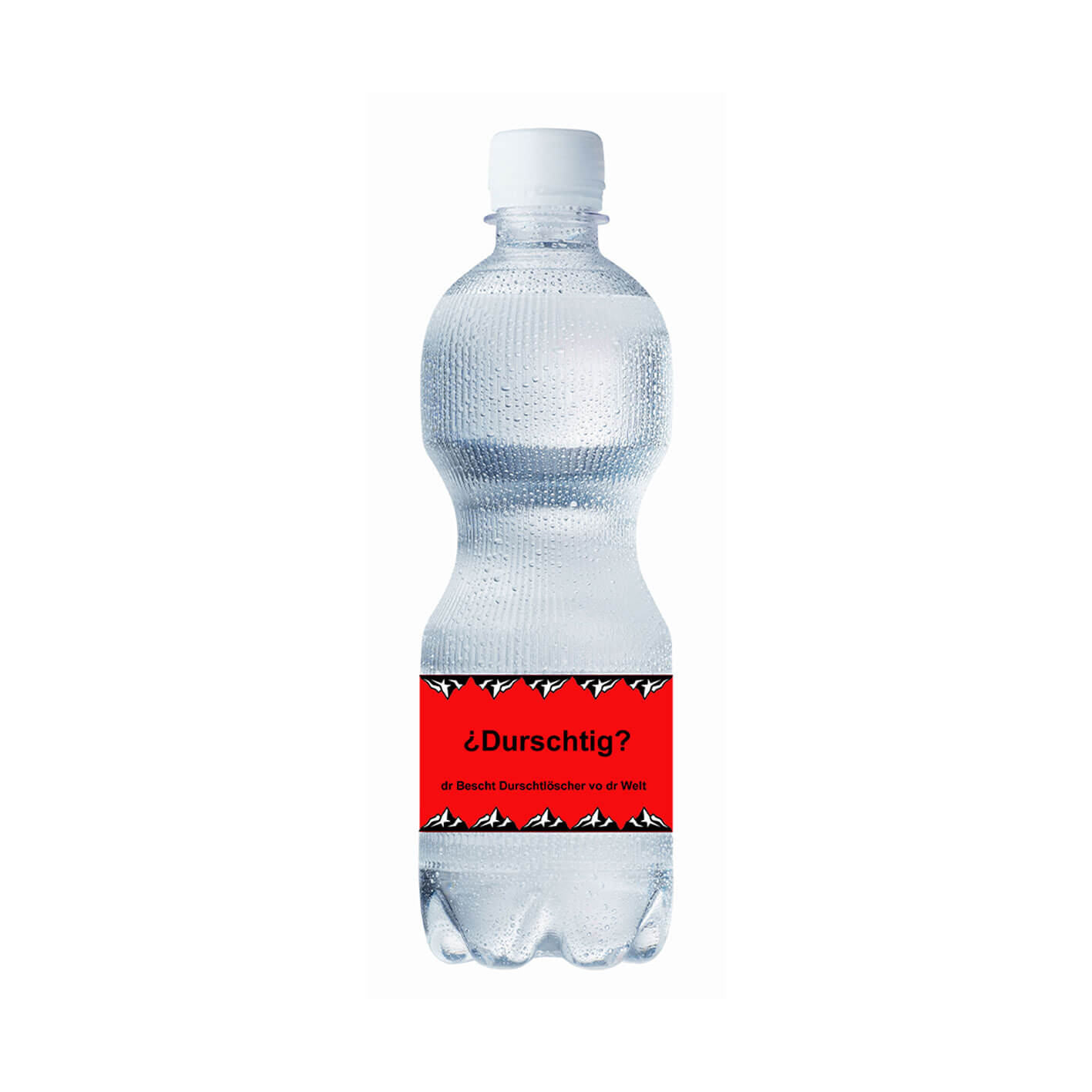 Schweizer Mineralwasser 50cl mit Logo